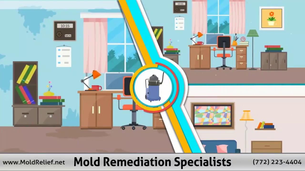 Mold Remediation Specialists