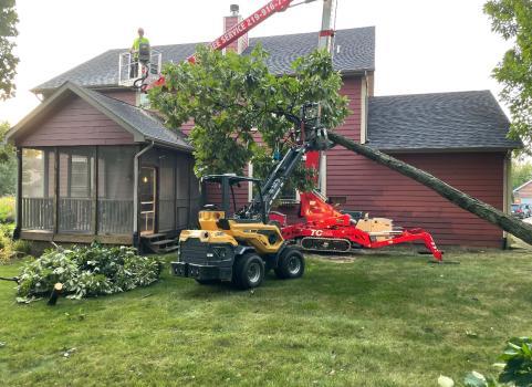 T&T Tree Service