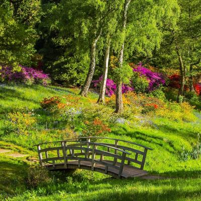 Wallingford Park and Recreation, 6 Fairfield Blvd, Wallingford, CT ...