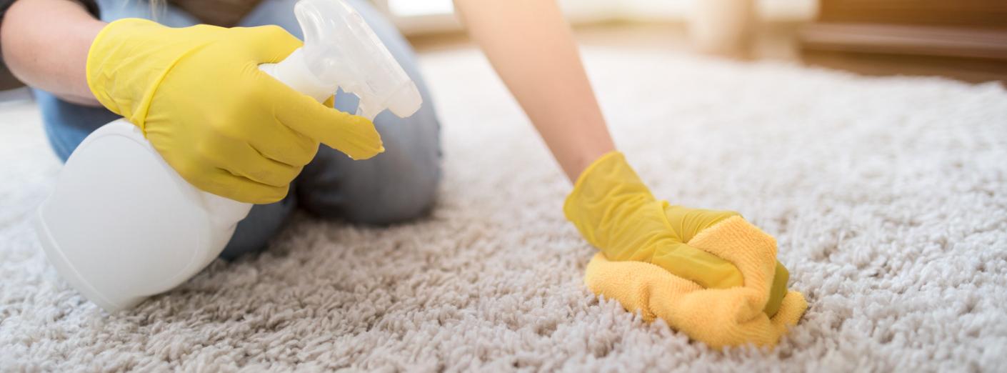 True Gold Carpet Care