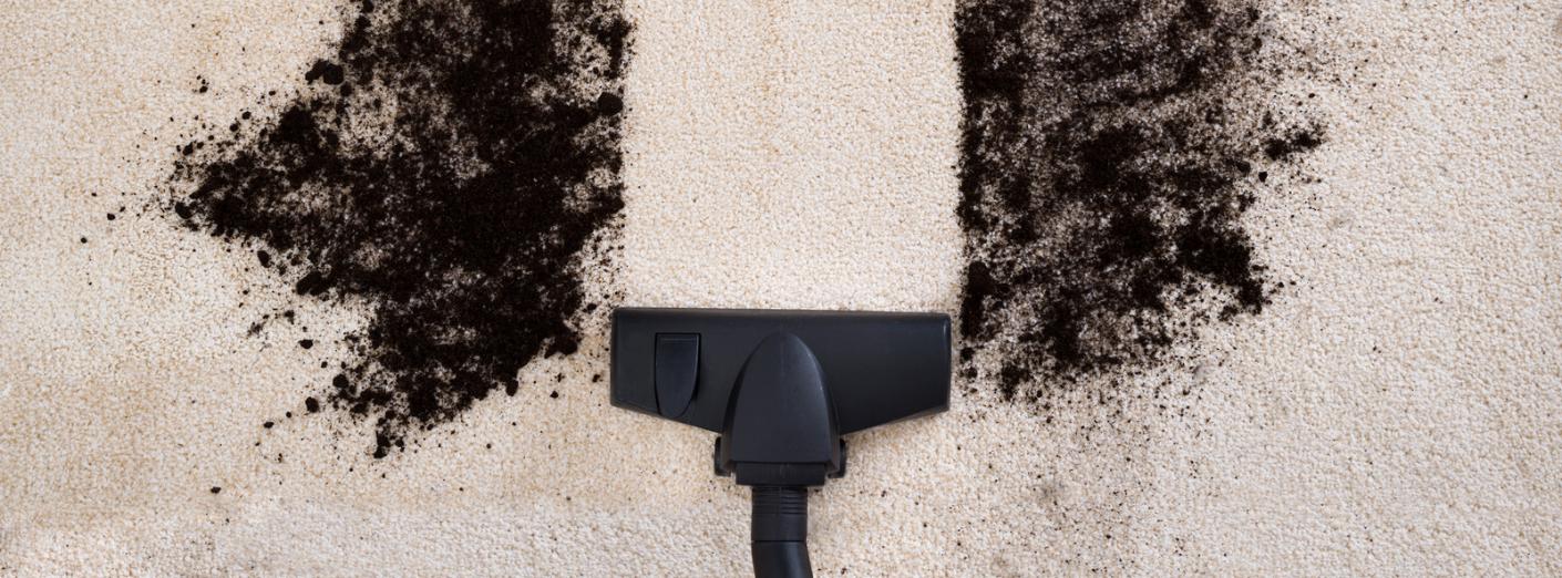 Good Day Carpet Service