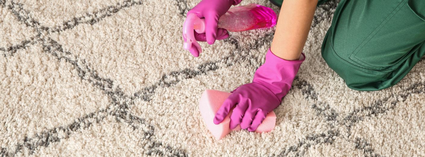 Picture Perfect Carpet Care