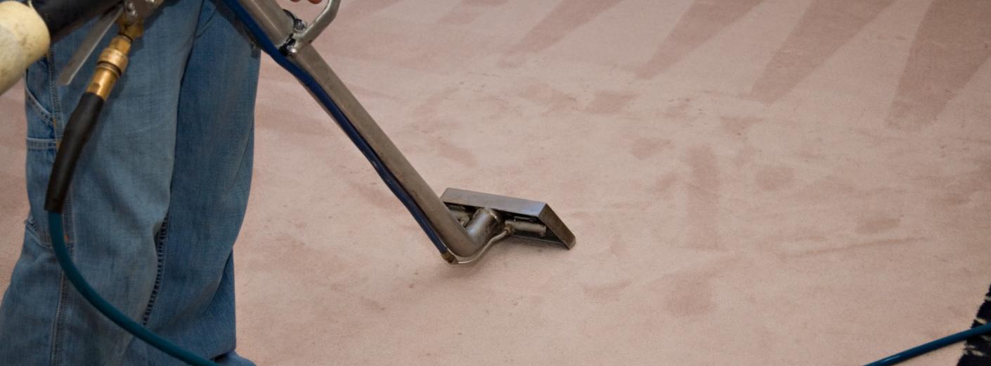 Top Lynn Carpet Cleaners