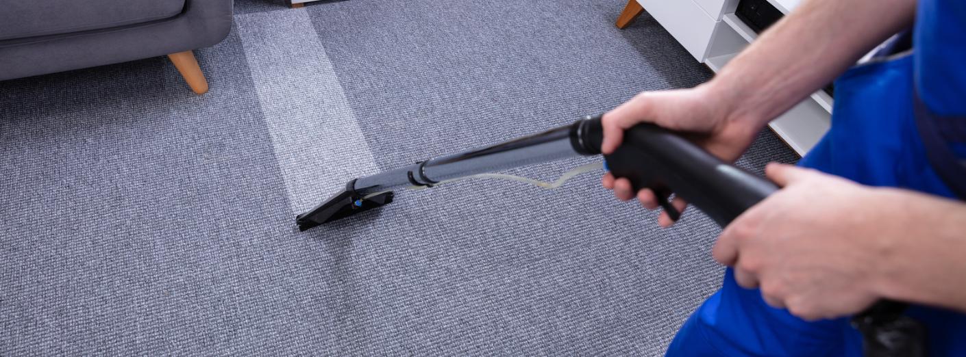 Go Green Carpet Cleaning