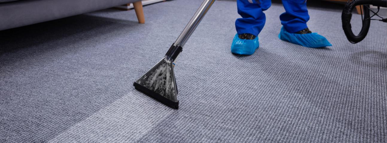 Pro Team Carpet Cleaning