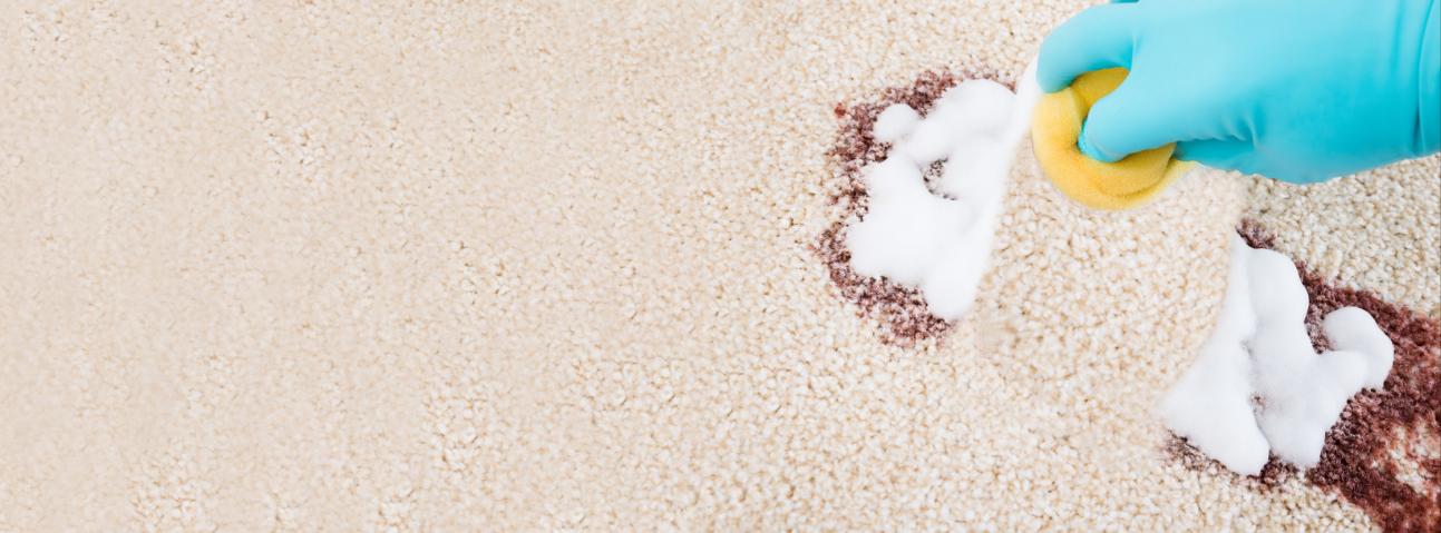 Good Day Carpet Care