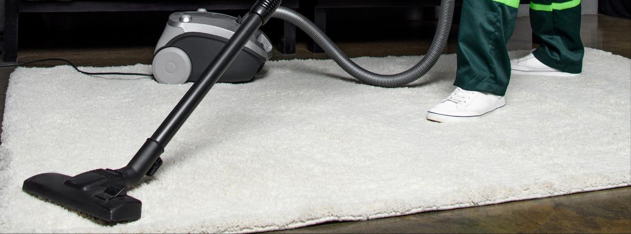 Morning Light Carpet Cleaning