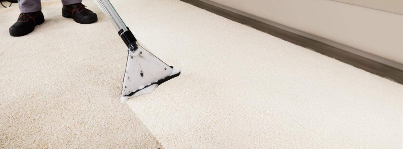 Adam & Sons Carpet Cleaners