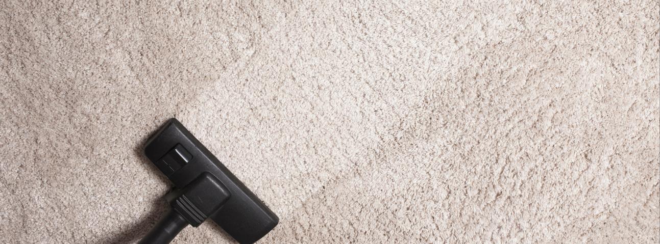 Best Quincy Carpet Cleaning