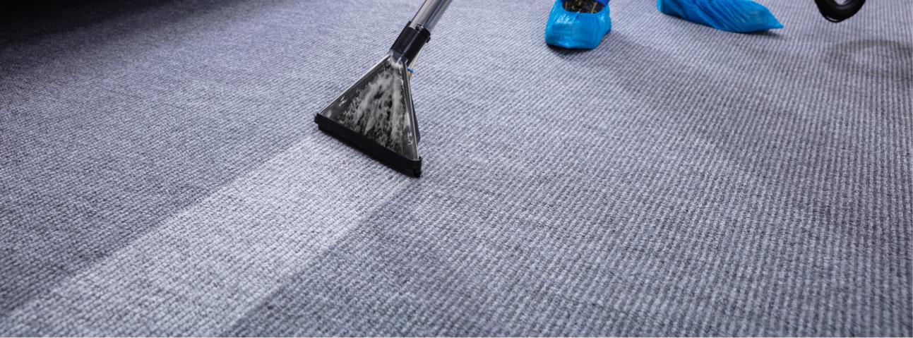 Morning Light Carpet Cleaning