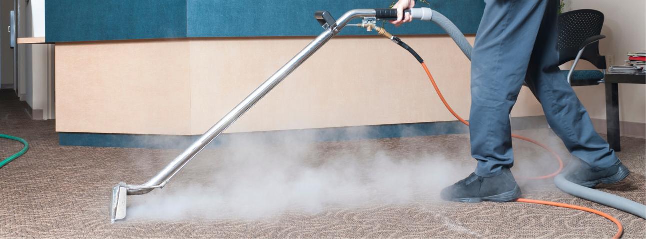 Two Guys Carpet Cleaners