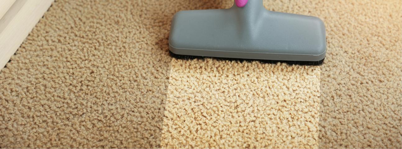 Stephen's Carpet Cleaning Service