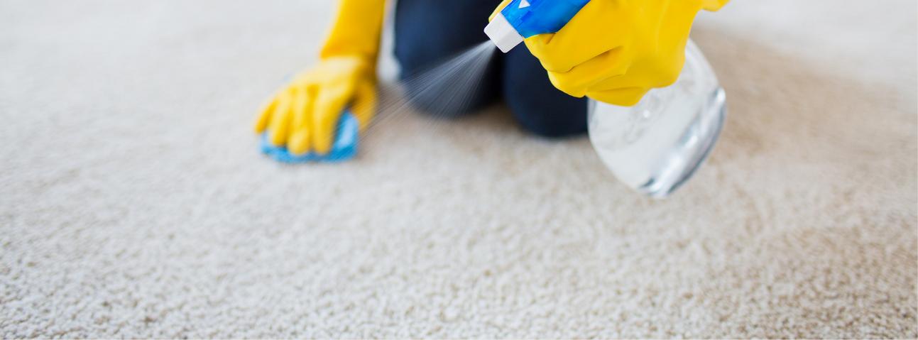 Double Time Carpet Cleaning