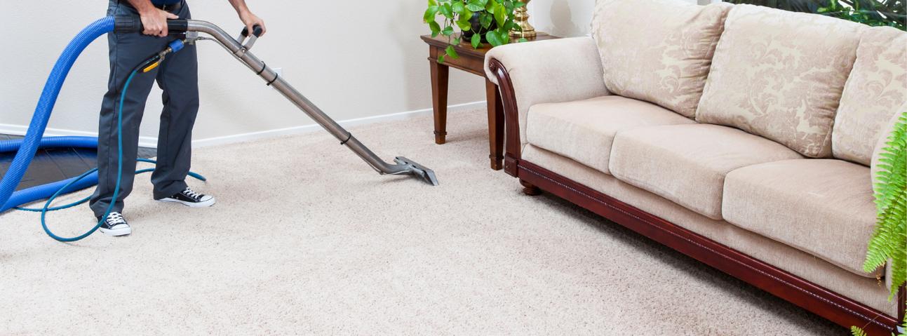 Hayden & Sons Carpet Care