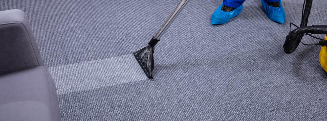Ballard Family Carpet Cleaning Service