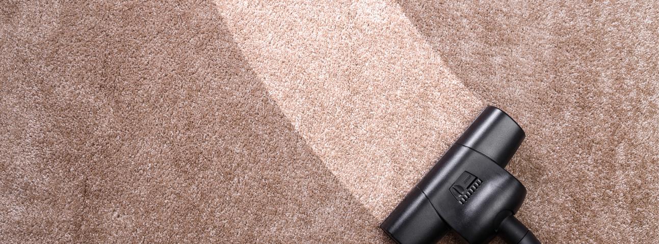 Picture Perfect Carpet Care