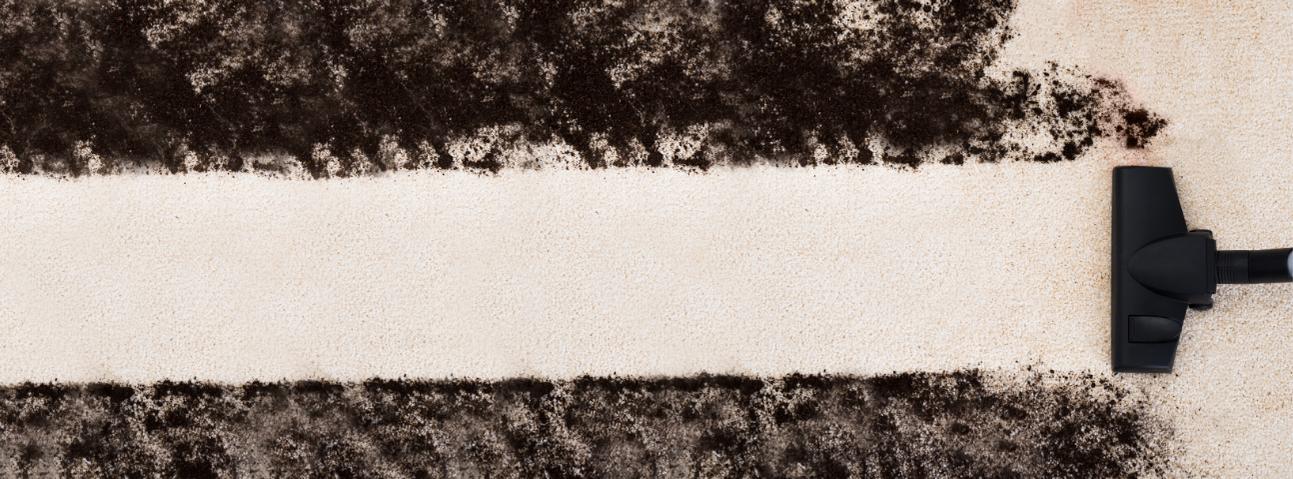 Vargas Family Carpet Care