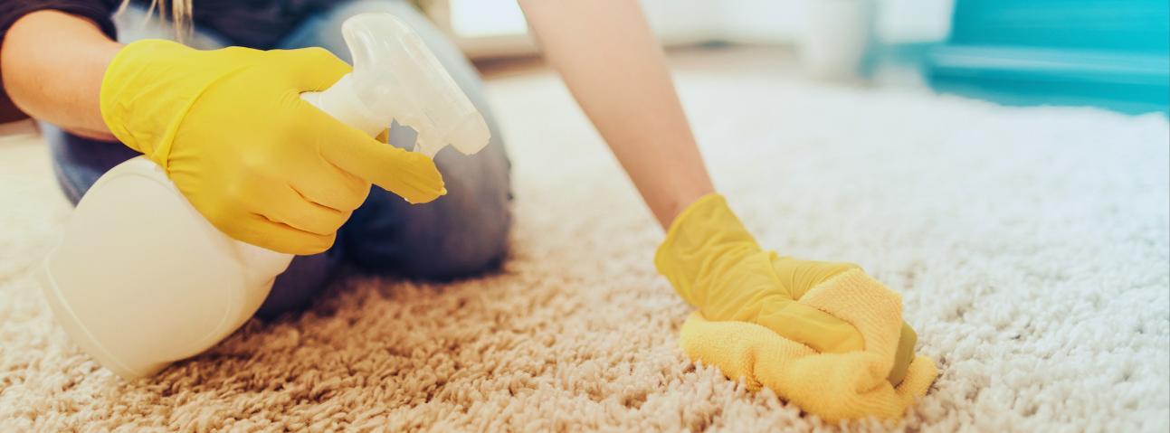 America Pro Carpet Cleaning