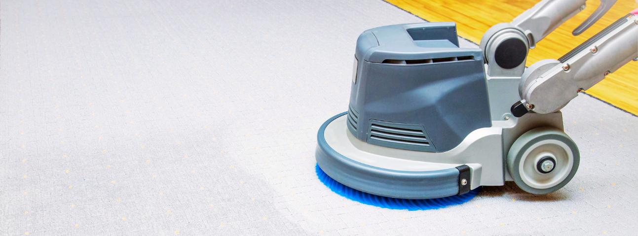 Beard Family Carpet Care