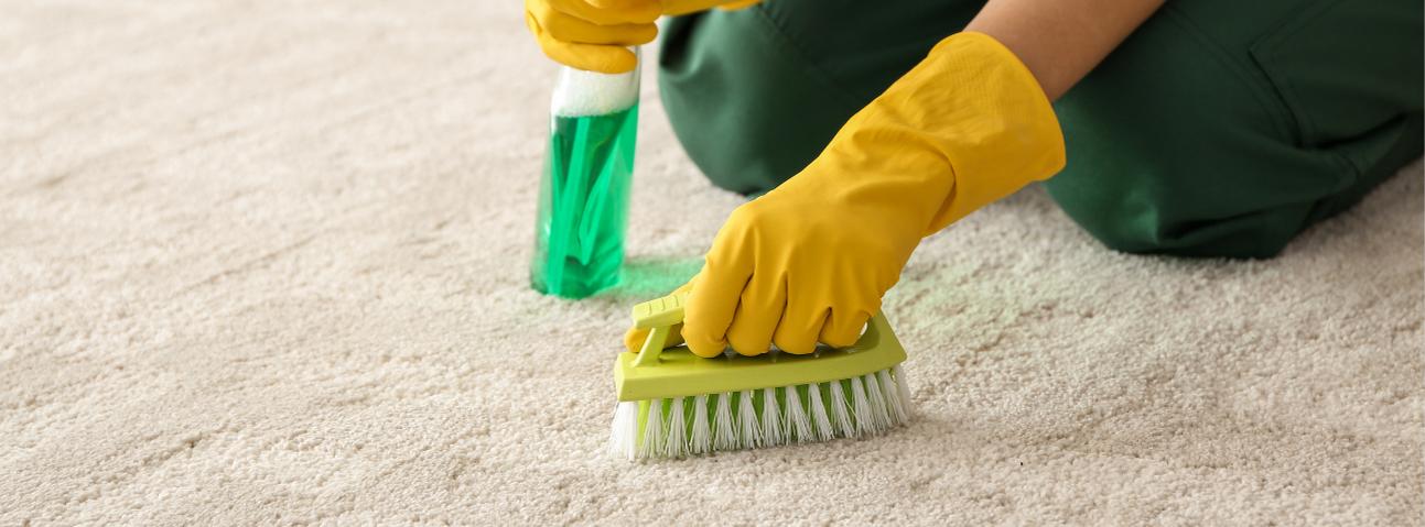 Best Arlington Carpet Care