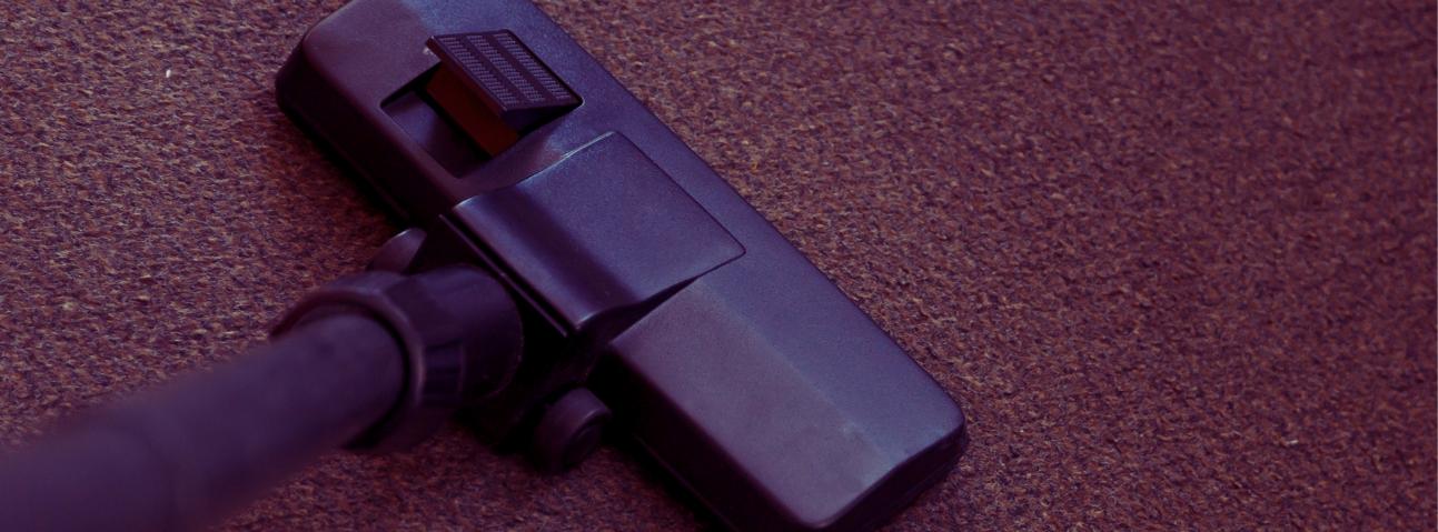 Best Day Carpet Care