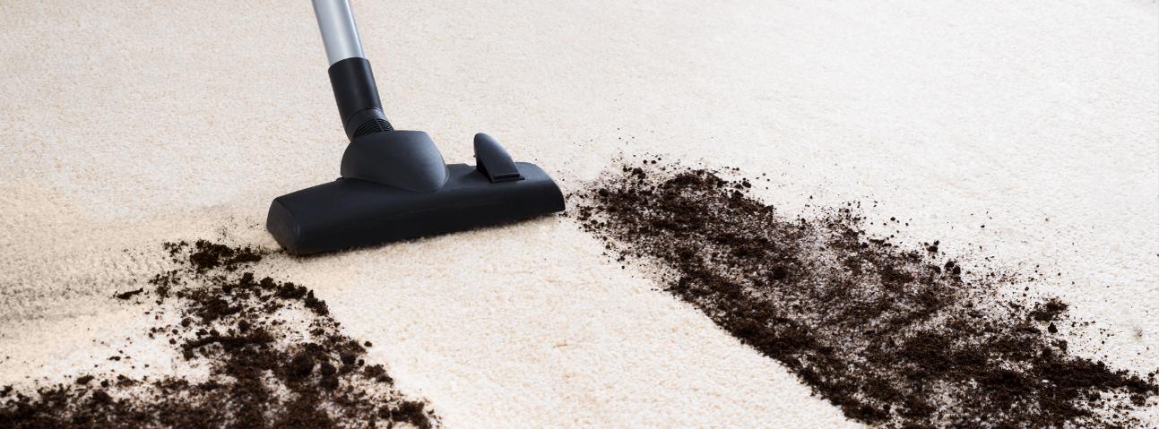 Budget Empire Carpet Cleaning