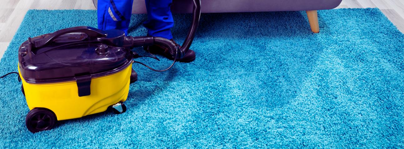 Early Bird Carpet Cleaning
