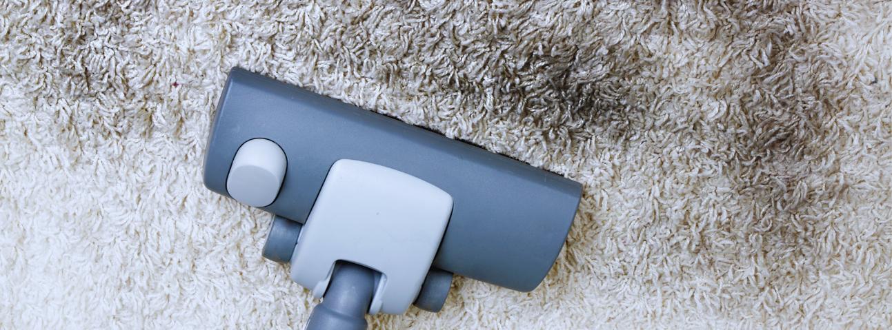 Endurance Carpet Service