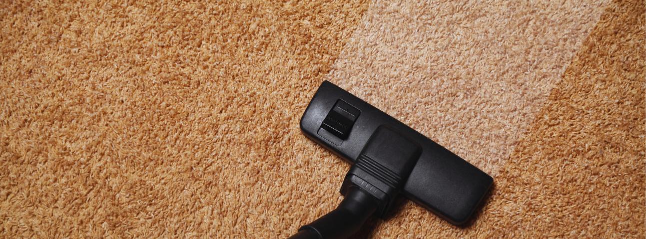 Frank's Carpet Cleaning