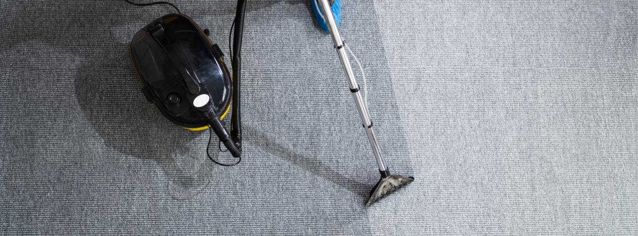 Worry Free Carpet Cleaning