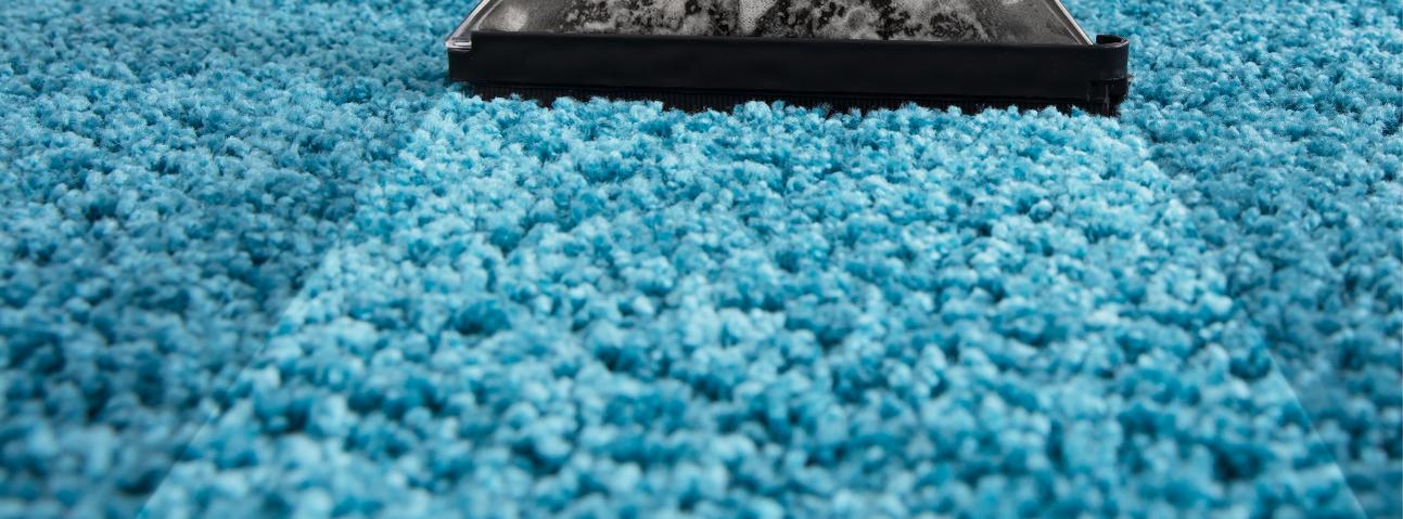 White Bright Carpet Cleaning