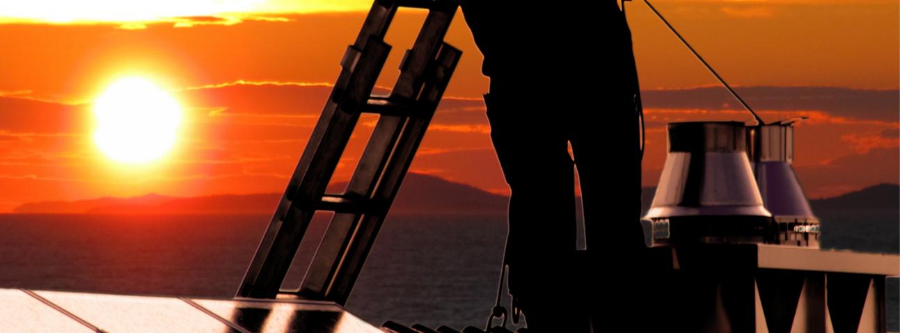 Warner Brothers Chimney Sweep