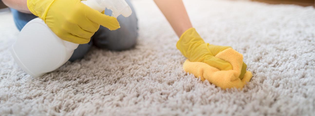 Two Guys Carpet Service