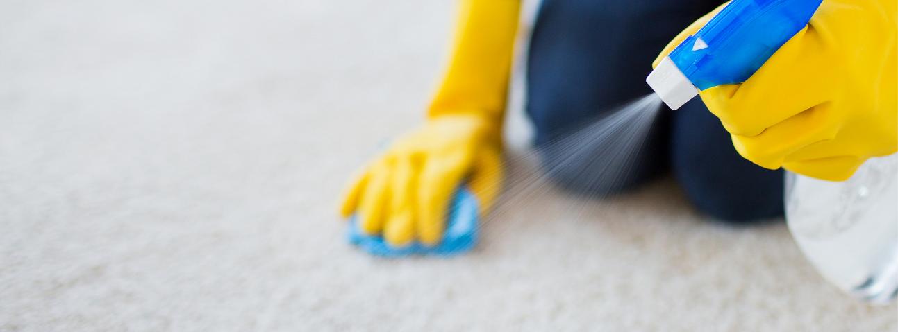 Top Charlotte Carpet Cleaners