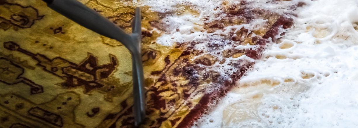 Superb Plano Carpet Cleaners