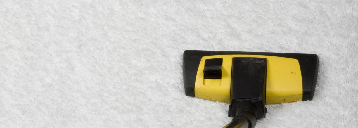 Spot Free Carpet Service