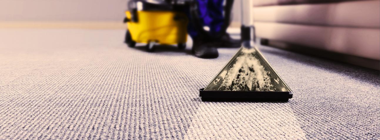 Matthew's Carpet Care