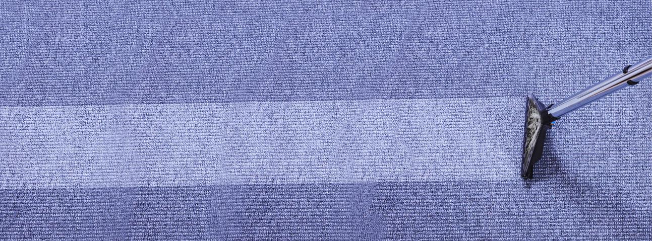 Montoya Family Carpet Cleaners