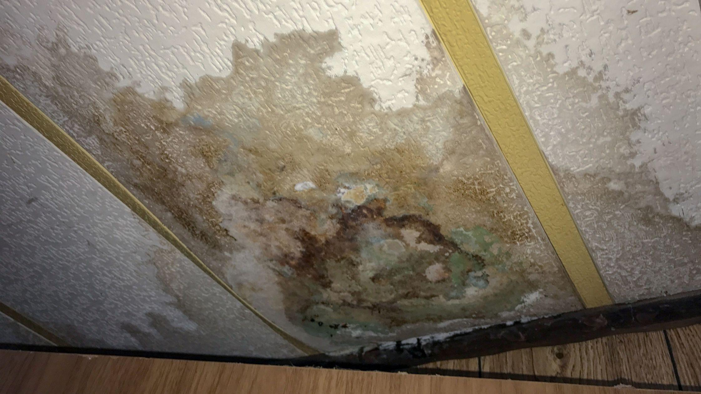 Sewage Damage Extractions