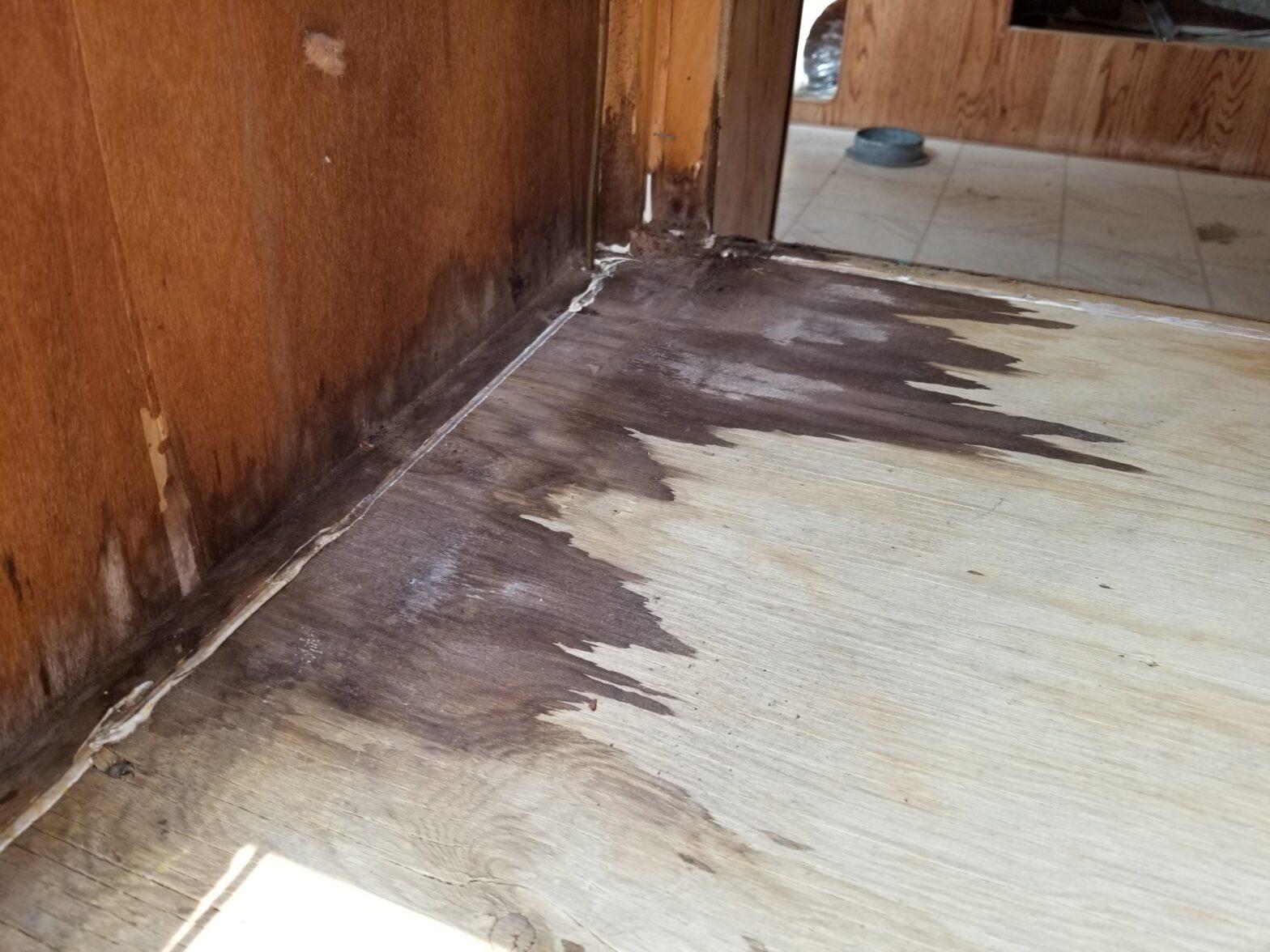 Dry On the Spot Restoration