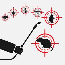 top Pest Control Near Me