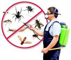 Thorofare Pest Control