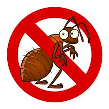 Bed Bugs Pest Control Services Near Me