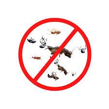 Gilbert Exterminator