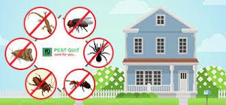 Mosquito Services Near Me