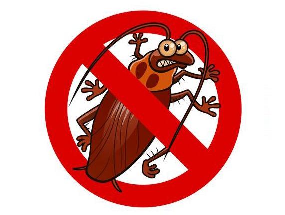 LAFAYETTE HILL Pest Control