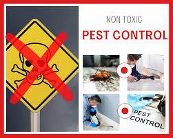 Pest Control Roaches Near Me