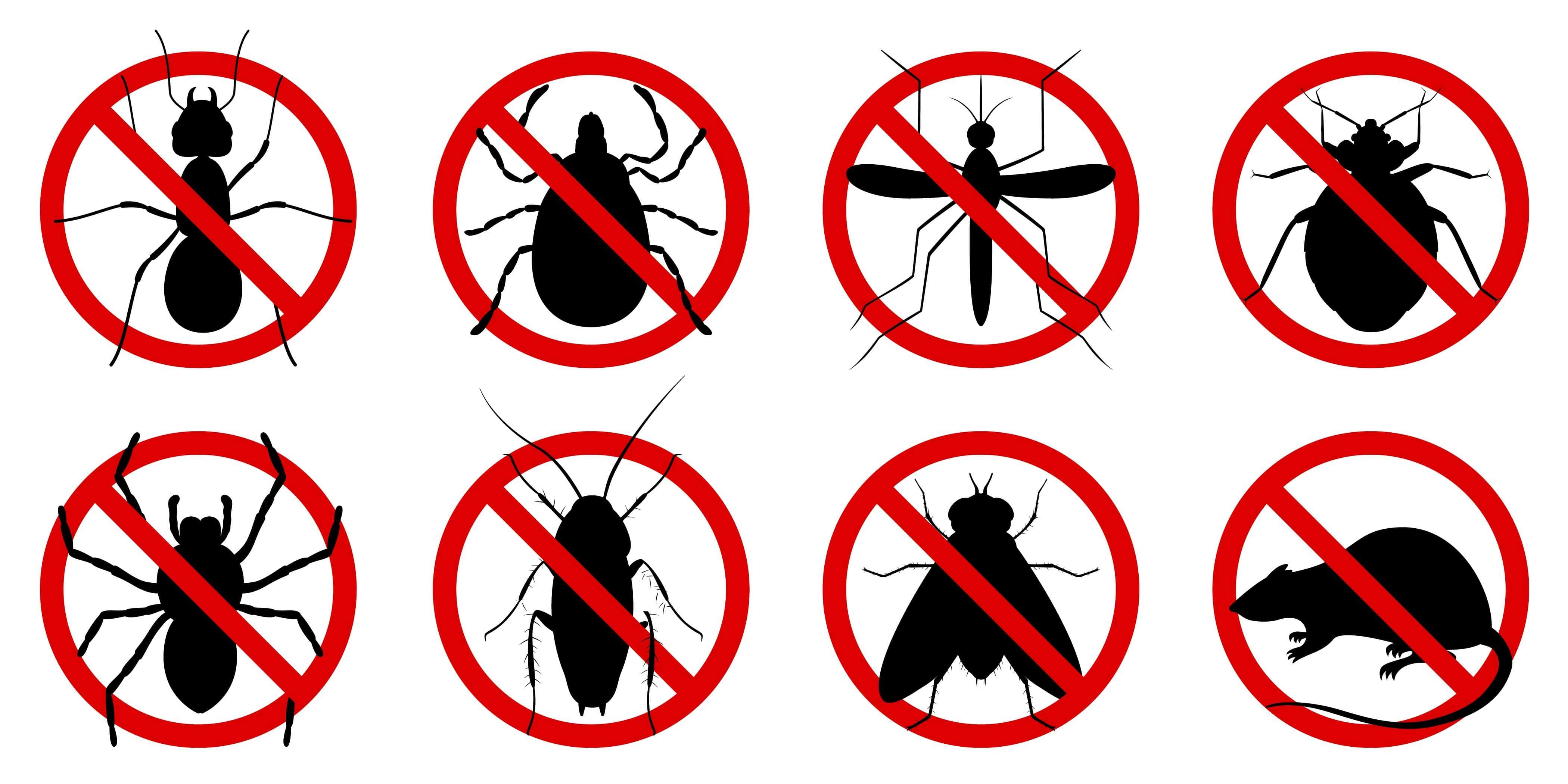 rEcommended Pest Control Near Me