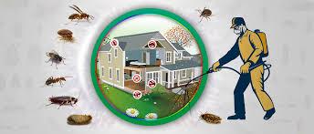 Gravette Pest Control