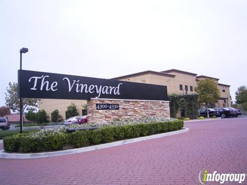 PYRAMID ORTHODONTICS